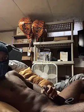 ProveYourLoyalty2 online show from 04/02/26, 12:36