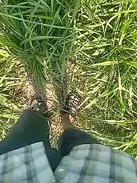 Cute Boy 4 online show from 02/22/26, 05:30