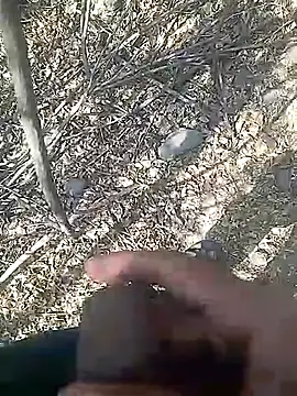 Cute Boy 4 online show from 02/23/26, 08:01