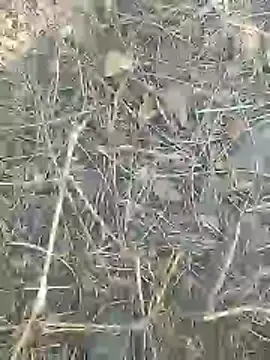 Cute Boy 4 online show from 03/09/26, 08:40