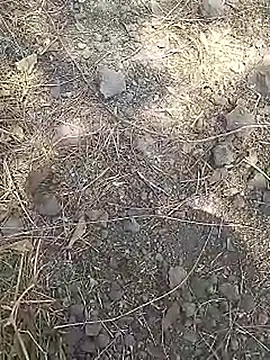 Cute Boy 4 online show from 03/15/26, 08:09