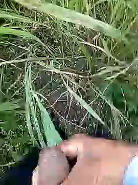 Cute Boy 4 online show from 04/11/26, 02:38