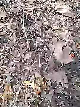 Cute Boy 4 online show from 04/19/26, 09:08