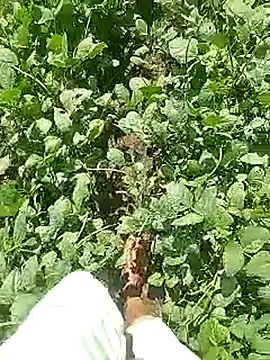 Cute Boy 4 online show from 04/22/26, 04:37