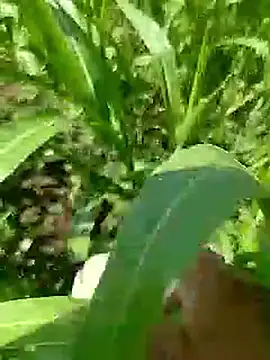 Cute Boy 4 online show from 04/23/26, 05:19