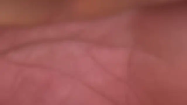 ctguybj online show from 06/22/26, 04:42