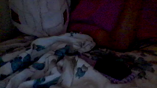 lorraine2036 online show from 04/25/26, 02:47