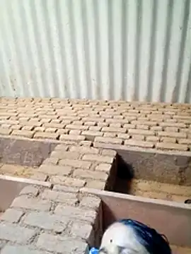 Lucky couple-1 online show from 04/19/26, 08:24