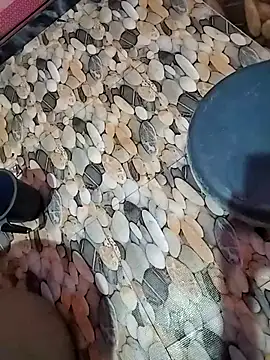 Snapshot of tamilpaiyan989 chatting on 04/05/26, 02:53 tamilpaiyan989 online show from 04/05/26, 02:53