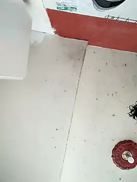 cynliu online show from 04/14/26, 02:23