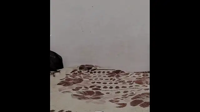 ammsexy1 online show from 03/09/26, 04:33