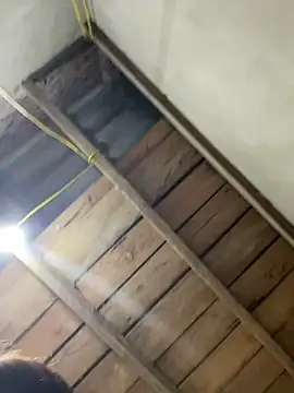 2b-xx online show from 03/04/26, 04:07