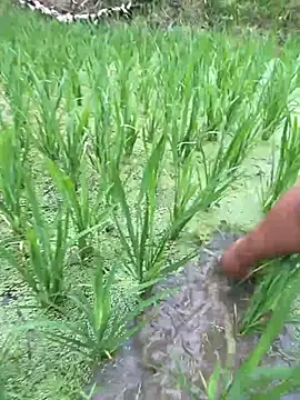 neyney110 online show from 04/20/26, 11:50