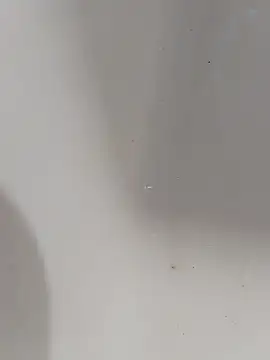 ONixCris online show from 03/13/26, 06:20