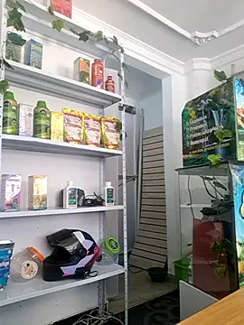 Tatianna Loove  online show from 03/14/26, 02:55