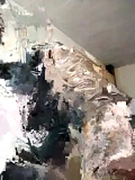 BoxedDitty online show from 02/21/26, 03:18