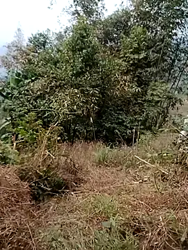 Snapshot of sushi-asa chatting on 02/24/26, 01:47 sushi-asa online show from 02/24/26, 01:47