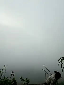 sushi-asa online show from 03/07/26, 12:51