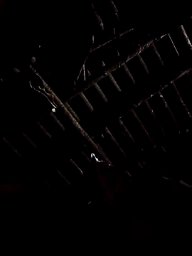 Snapshot of alex_callmemaybe69 chatting on 02/09/26, 09:30 alex callmemaybe69 online show from 02/09/26, 09:30