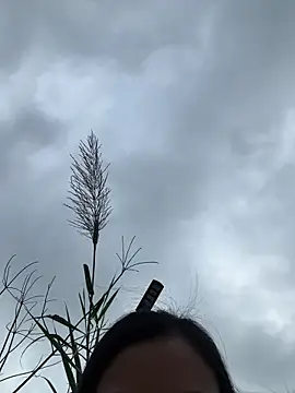 Caramel sexy online show from 02/07/26, 07:34