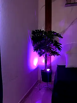 KATA-GAITAN online show from 02/27/26, 07:47