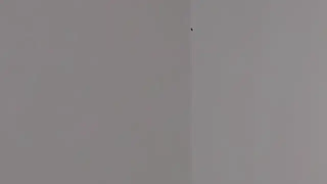 Lilith pink29 online show from 02/03/26, 03:37