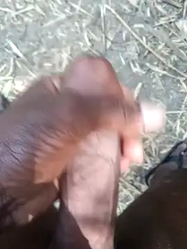 kalai 32 online show from 02/17/26, 06:10