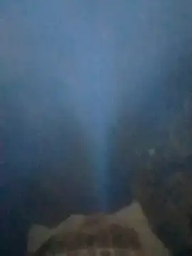 S7LEALTADPERVLIMA7 online show from 06/28/26, 03:34