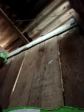 Small flower1 online show from 02/10/26, 02:04