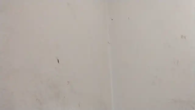 MisterSnowww online show from 03/06/26, 09:55