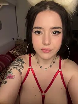 Venustrapp online show from 02/14/26, 02:47