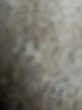 nanibabu7999 online show from 04/24/26, 04:48