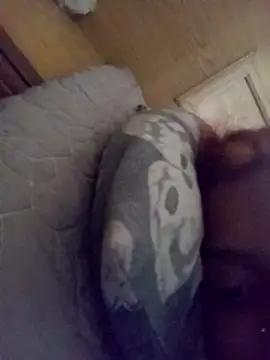 Snapshot of loveofpetitegirls34 chatting on 02/21/26, 08:26 loveofpetitegirls34 online show from 02/21/26, 08:26