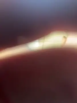 Kylxxx8 online show from 03/29/26, 10:04