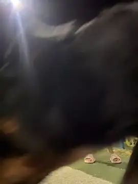 Snapshot of Arya___ chatting on 02/19/26, 05:47 Arya online show from 02/19/26, 05:47