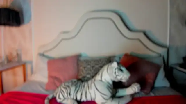 Snapshot of niicole_garner chatting on 02/11/26, 04:34 niicole garner online show from 02/11/26, 04:34