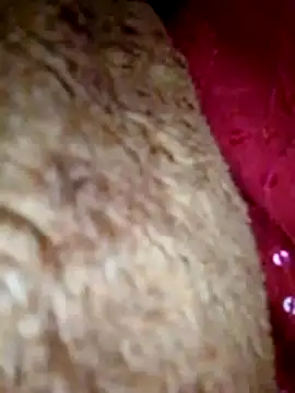 Talkwithsex online show from 04/01/26, 07:53