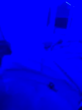 Snapshot of bojo69 chatting on 02/13/26, 12:12 bojo69 online show from 02/13/26, 12:12