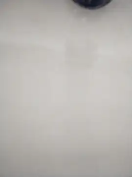 macariocb online show from 02/08/26, 02:20