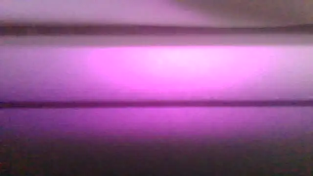 Snapshot of kaimsdecadus555 chatting on 02/12/26, 11:55 kaimsdecadus555 online show from 02/12/26, 11:55