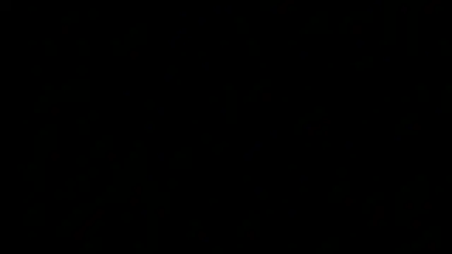 dixiedevin online show from 04/22/26, 10:50