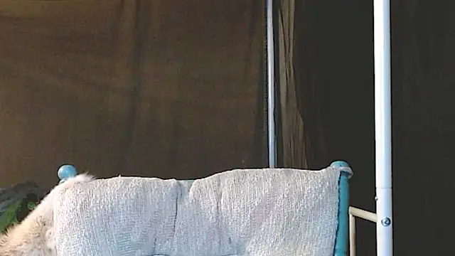 cguffey2284 online show from 03/20/26, 10:03