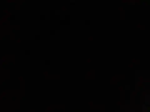 lavelle26 online show from 02/11/26, 07:46