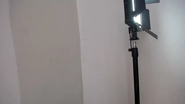 sarita alexis online show from 04/24/26, 08:00