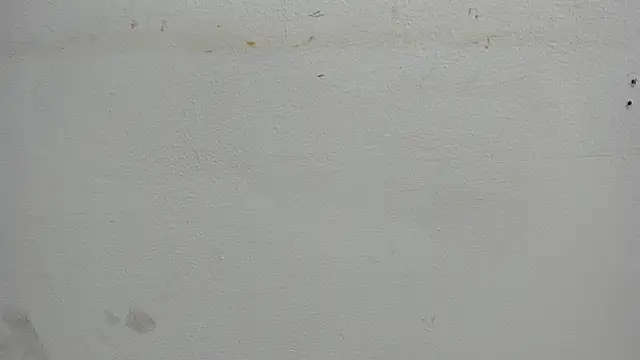 Kitty f00x online show from 07/15/26, 12:54