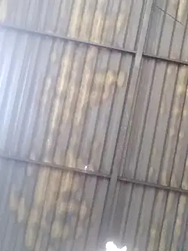 Linka998 online show from 03/27/26, 04:40