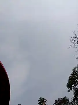 Linka998 online show from 04/05/26, 07:49