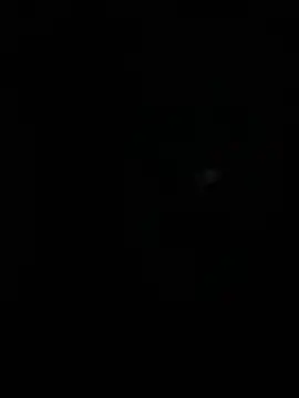 stallone italiano 62 online show from 04/10/26, 04:39