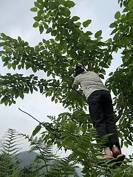 cuty lusy online show from 04/25/26, 11:02