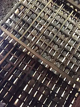 novinhavip777 online show from 02/09/26, 02:10